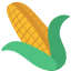 corn