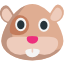hamster
